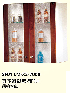 SF01-LM-X2-7000